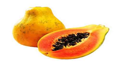 Papaya