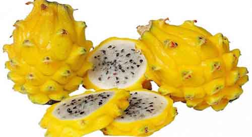 Pitahaya