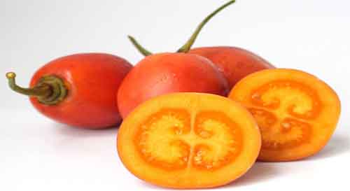 Tomate de árbol