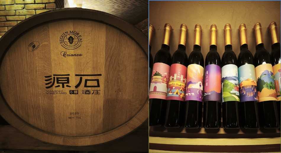 Ningxia collage tierra de vinos