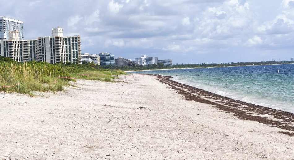 2 Miami South Beach 1 ArturoCrosby