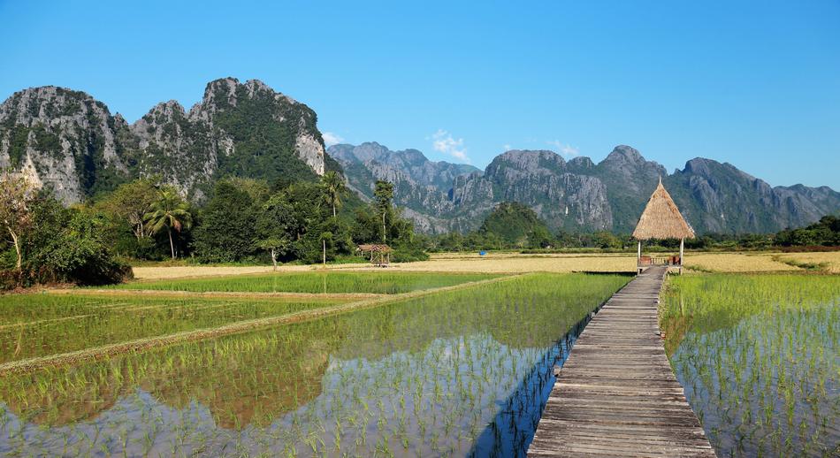 ARROZALES Vang Vieng Laos