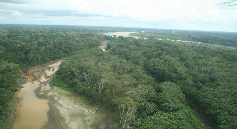 Amazonia p2