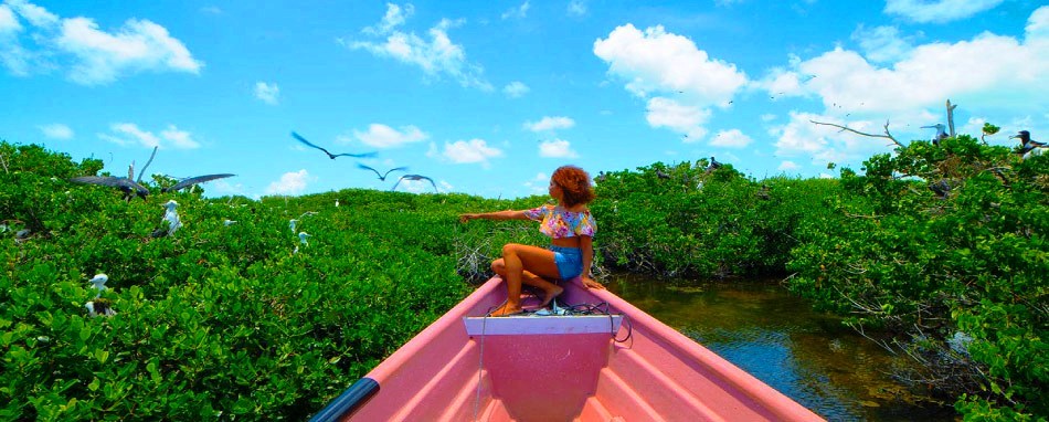 Antigua y Barbuda en el corazón del Caribe - biodiversidad