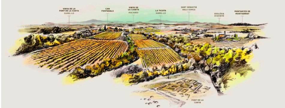 Las Fincas de la Cava Avinyó en el Alt Penedès