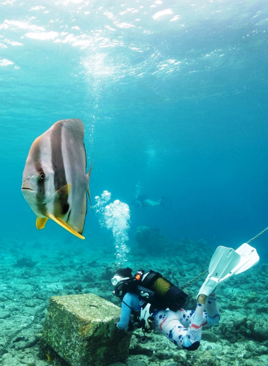 Atolón Poivre y las Islas Seychelles 