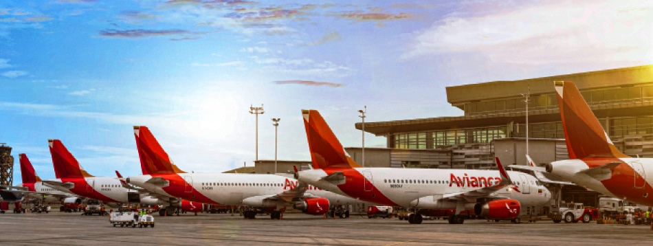 Avianca y WCS por la vida silvestre