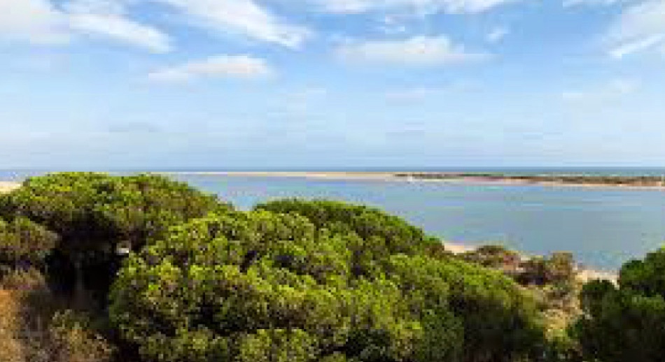 Castillos de Huelva - Flecha del Rompido