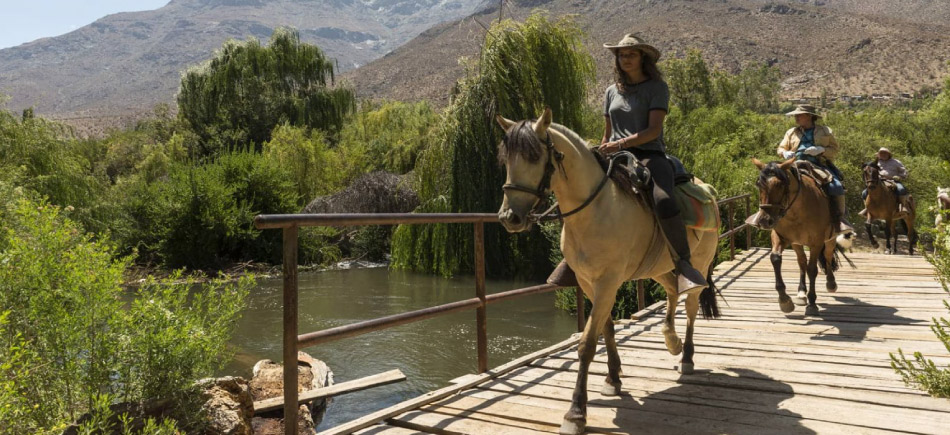 Chile celebra incremento turístico en el Verano2023 - cabalgadas