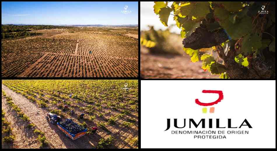 Collage JUMILLA DOP