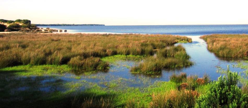 Doñana es turismo y biodiversidad 