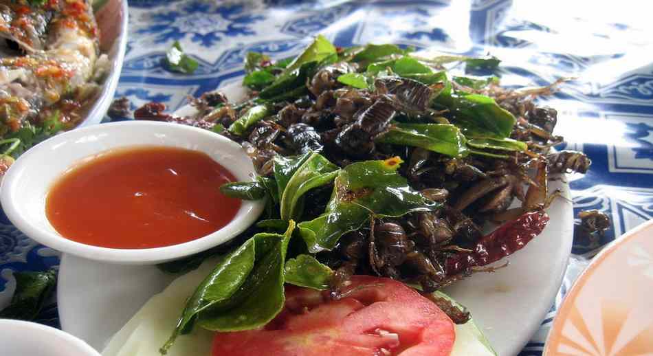 ENSALADA DE INSECTOS