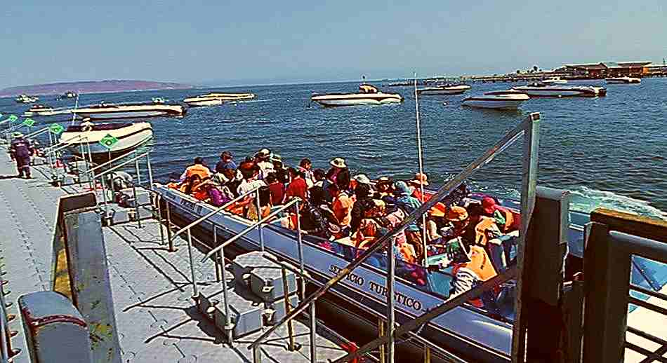 El paseo en la Bahía de Paracas