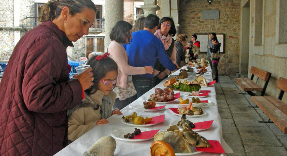 Exposición Taxonómica Setas Coria