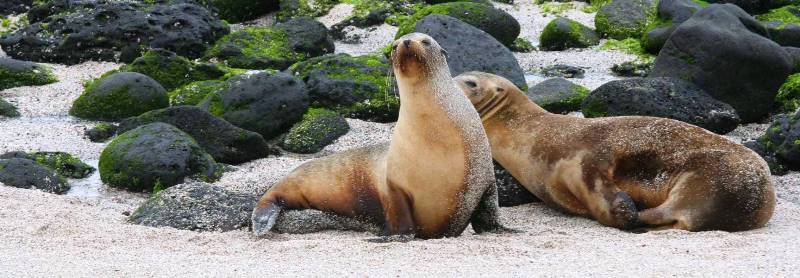 Galápagos un destino único en el mundo 