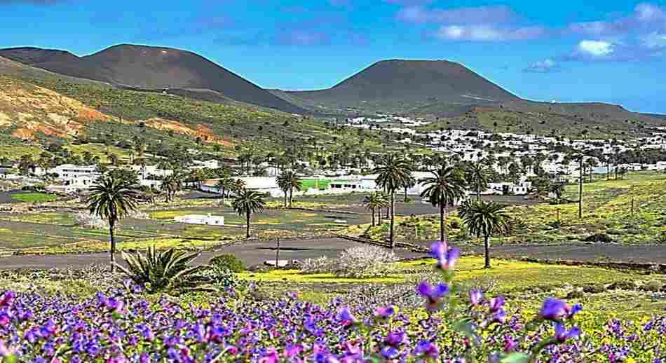 Haria en Lanzarote