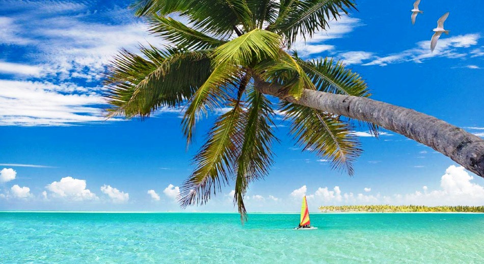 Isla de Cozumel  un paraíso en el  Caribe -playas