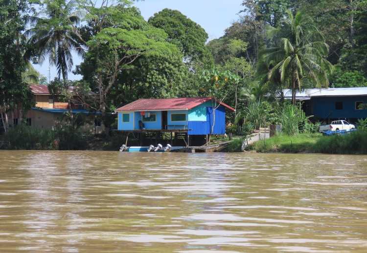 Kinabatangan Sukau Sabah