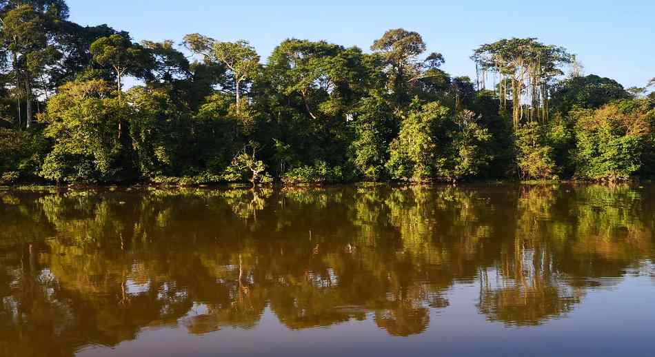 Kinabatangan river ArturoCrosby 2