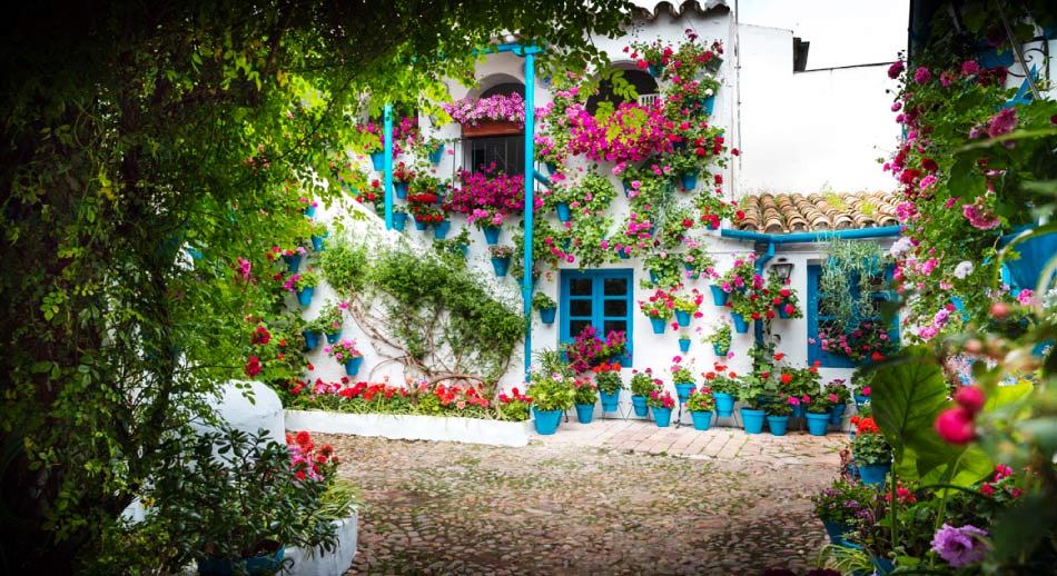 La Fiesta de Patios de Córdoba -concurso