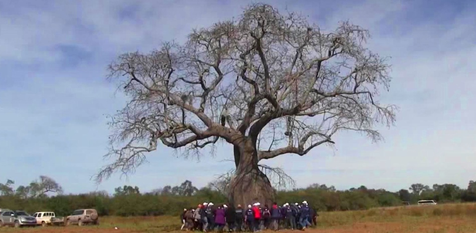 La ruta de los colosos - Paraguay