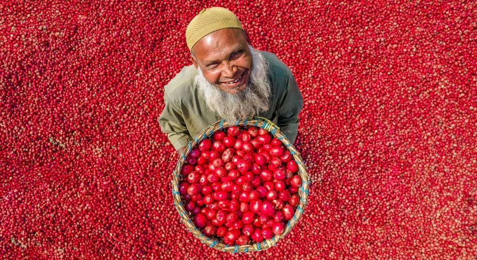 La cumbre del clima y la alimentación en Egipto