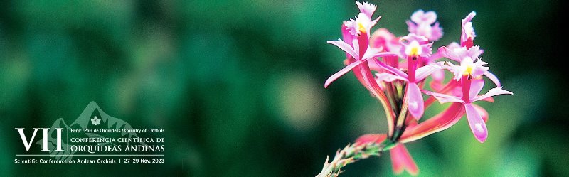 Las Orquídeas son un  gran atractivo turístico