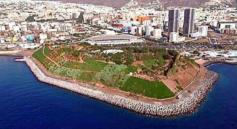 Palmetum terreno ganado al mar 1