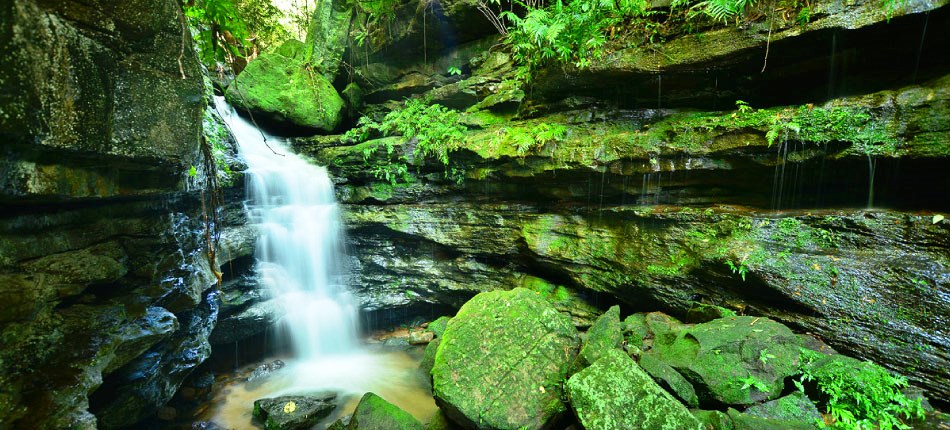 Paraguay, verdadera belleza natural - Salto Ñandukua y Paso-cue