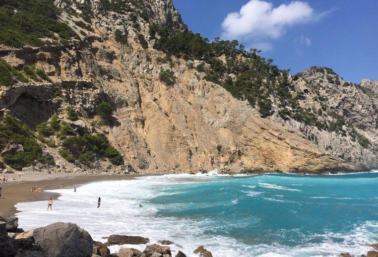 Playa de Coll Baix. Alcúdia . Mallorca