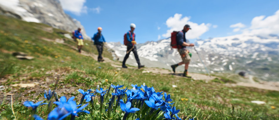 Potencial del Turismo de montaña