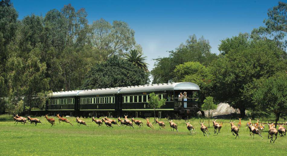 Rovos Rail África. Cruceros sobre raíles.