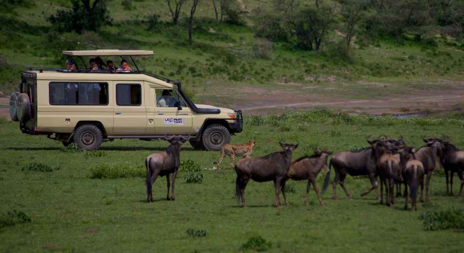 Safari con encanto en Tanzania