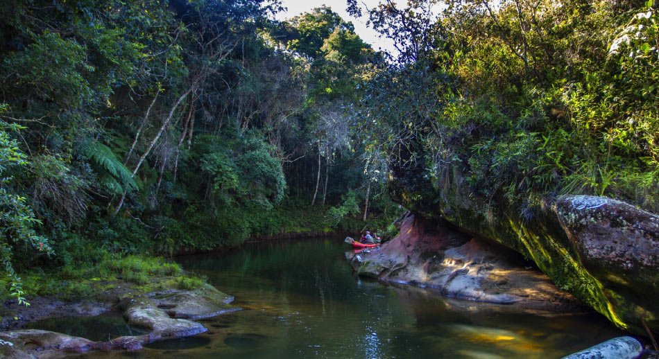 El Salvaje Parque Nacional Madidi 