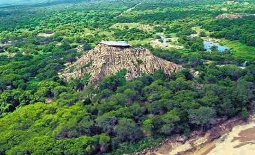 Santuario Histórico Bosque de Pomac 1