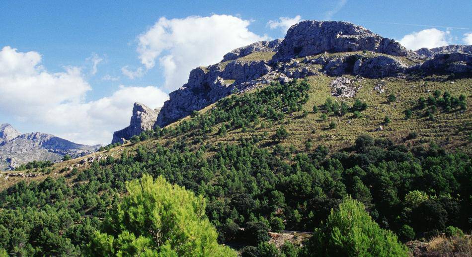 Serra de Tramuntana Palma de Mallorca