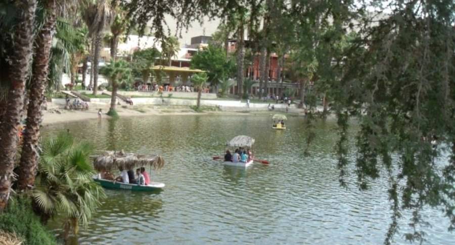 Tejera huacachina