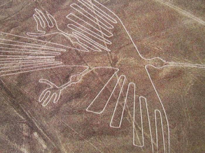 Tejera nazca