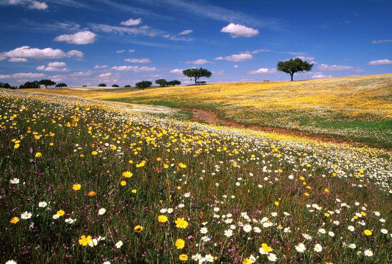 Trans Alentejo rutas Portugal copia copia