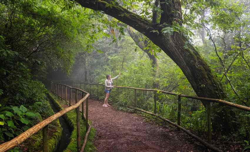 Um caminho para todos Queimadas Madeira 1