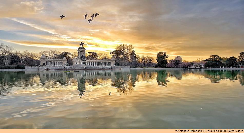 Parque del Retiro en Madrid 