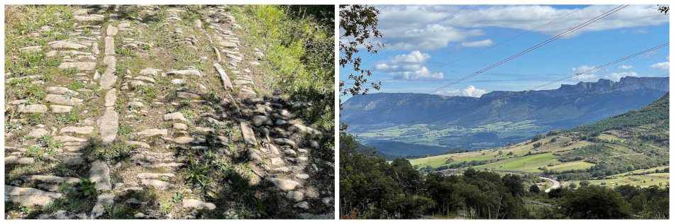 camino de santiago collage 3a