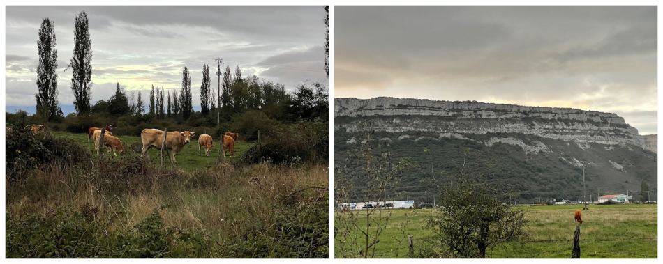 collage Camino santiago 1 1