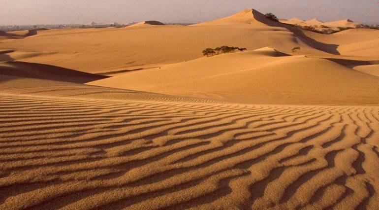 desierto de ICA tejera