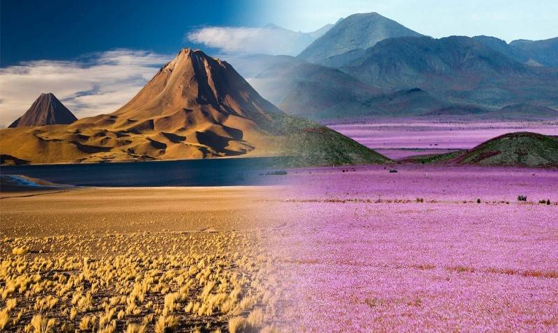 desierto de atacama tejera