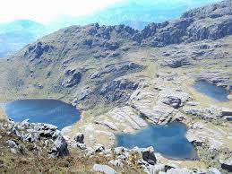 ecuador parque nacional yacuri