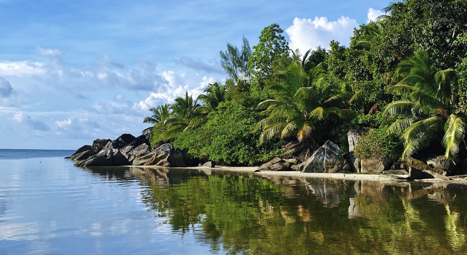 Escapada veraniega: Volar a las Islas Seychelles