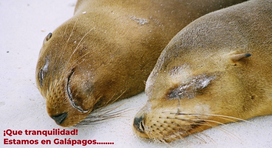 Galápagos, un destino único en el mundo