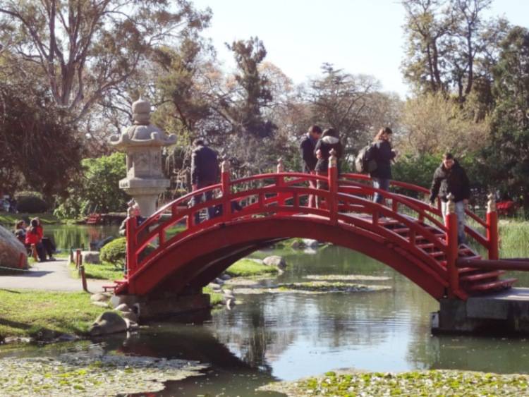 jardin japones 2