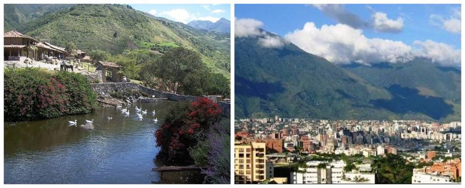 lpreciosa la caracas c